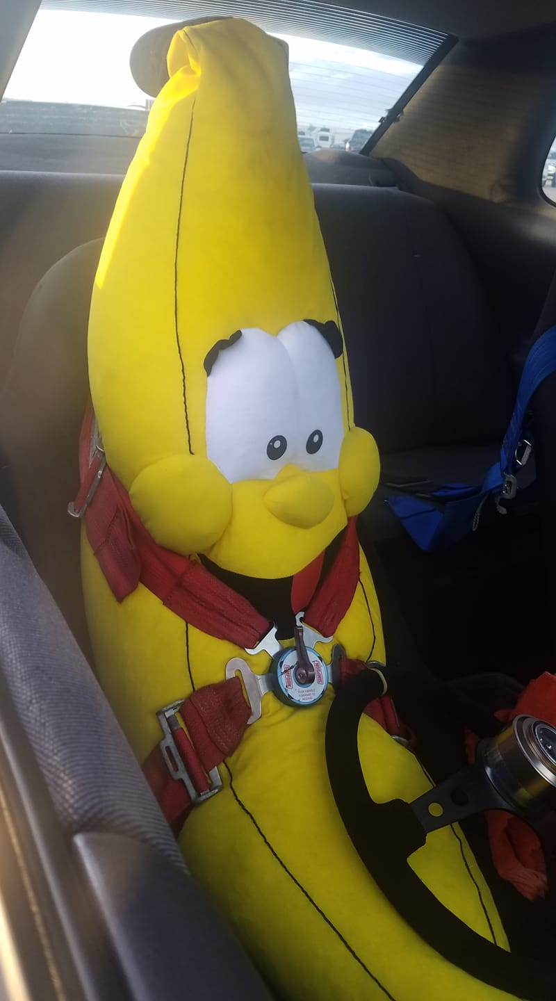 40773544_1958630577527416_2235394782371250176_o